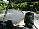 Remonte en bateau vers Tortuguero